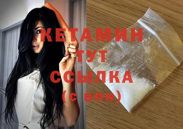 стаф Вяземский