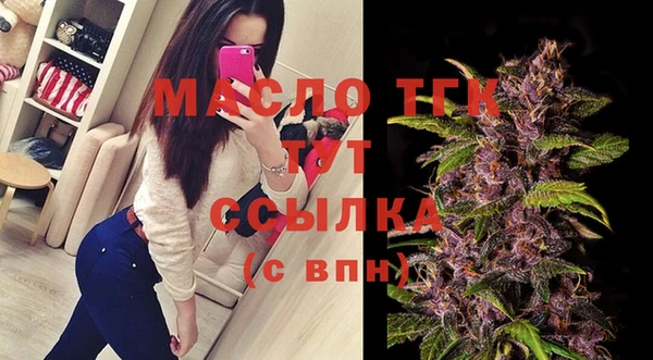 стаф Вяземский