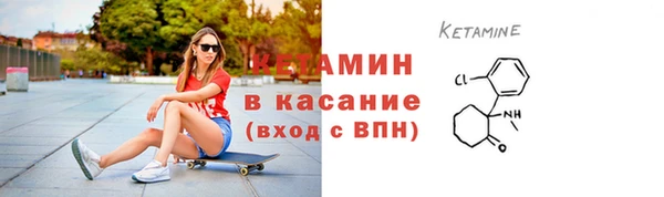 стаф Вяземский