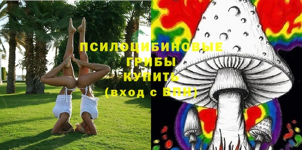 спиды Вязьма