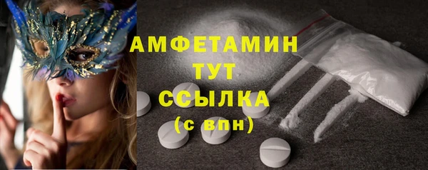 стаф Вяземский