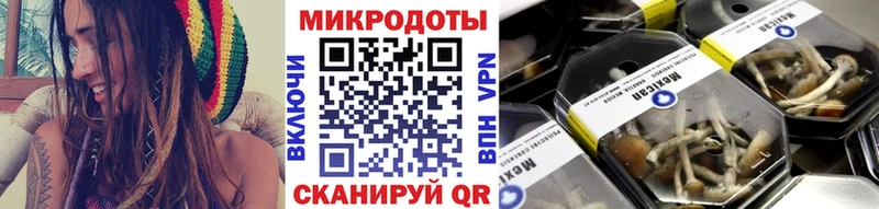 Псилоцибиновые грибы Psilocybine cubensis  Еманжелинск 